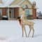 55" Crystal Champagne Standing Buck, White Twinkling LED Lights